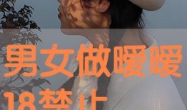 18禁止在线观看,网络观看的界限与挑战